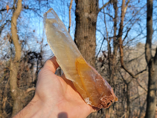 Golden Phantom Selenite Crystal Cluster || Sacral Selenite || Utah Selenite Slices || Master Healer Crystal