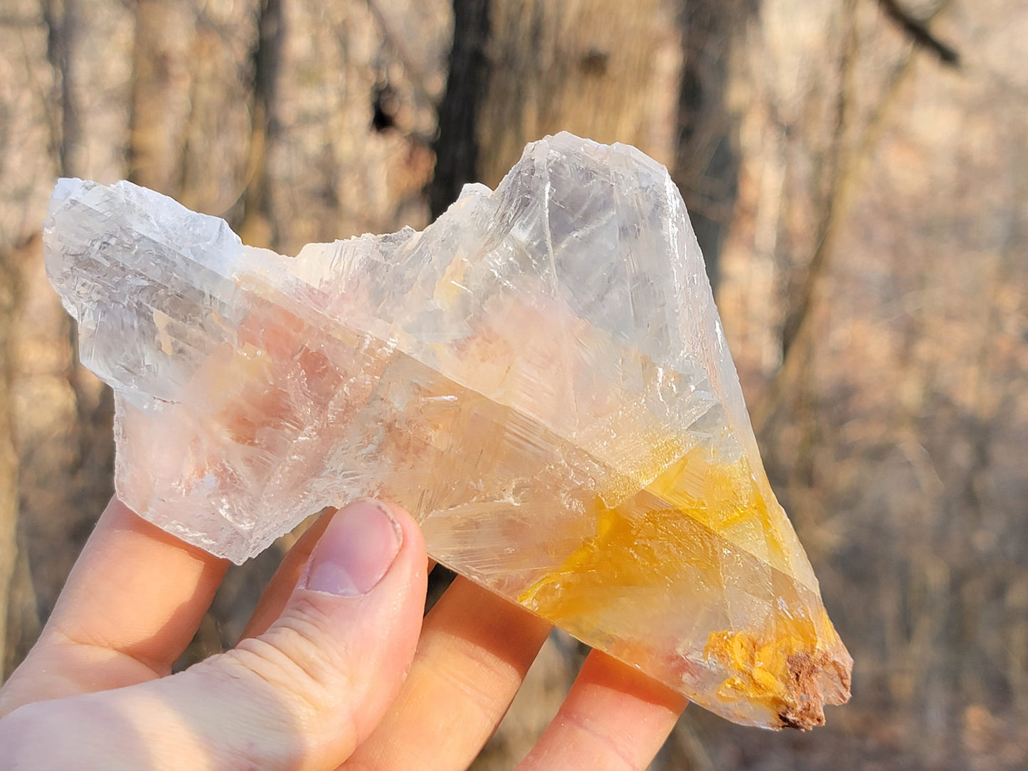 Golden Phantom Selenite Crystal Cluster || Sacral Selenite || Utah Selenite Slices || Master Healer Crystal