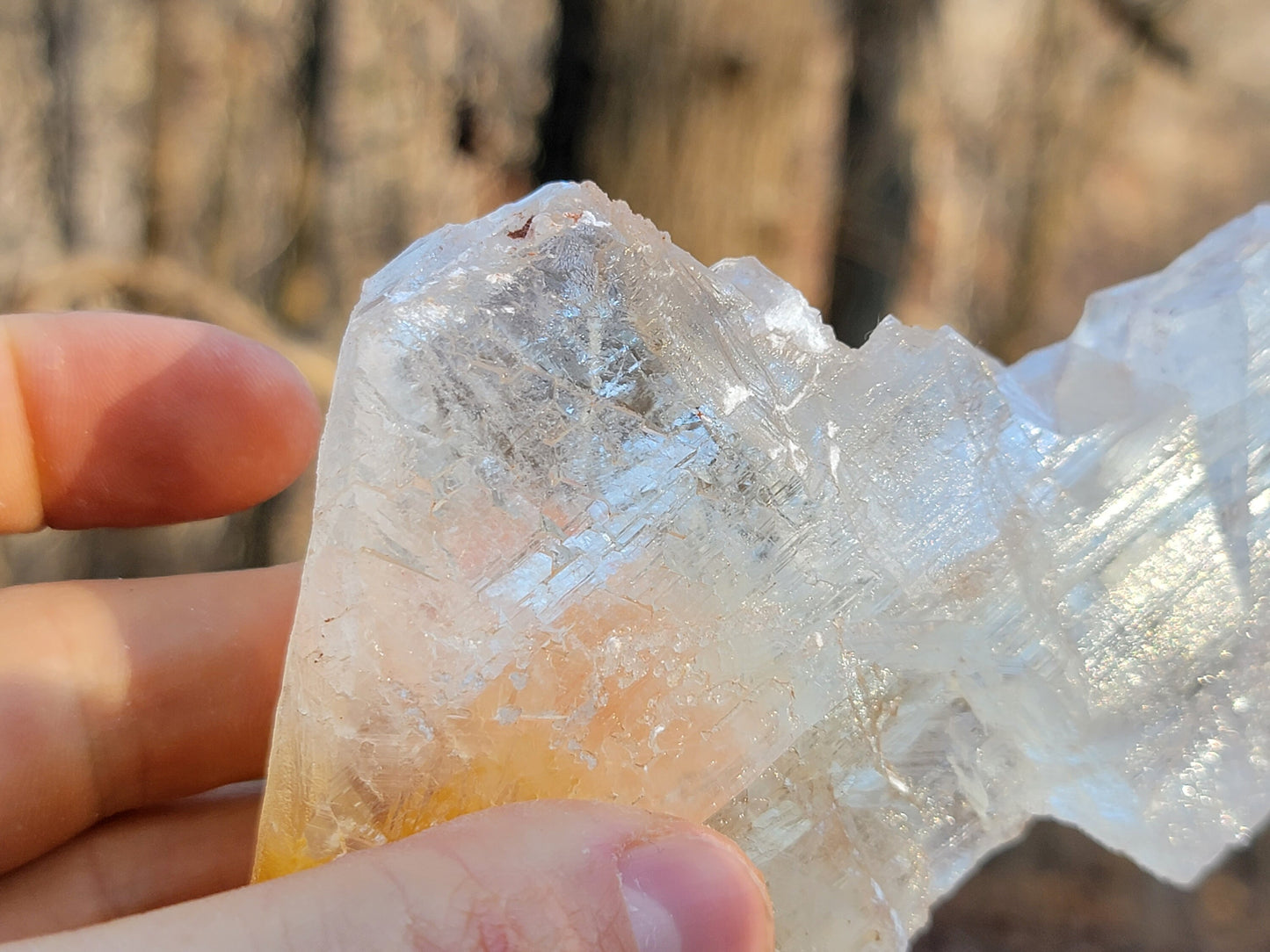 Golden Phantom Selenite Crystal Cluster || Sacral Selenite || Utah Selenite Slices || Master Healer Crystal