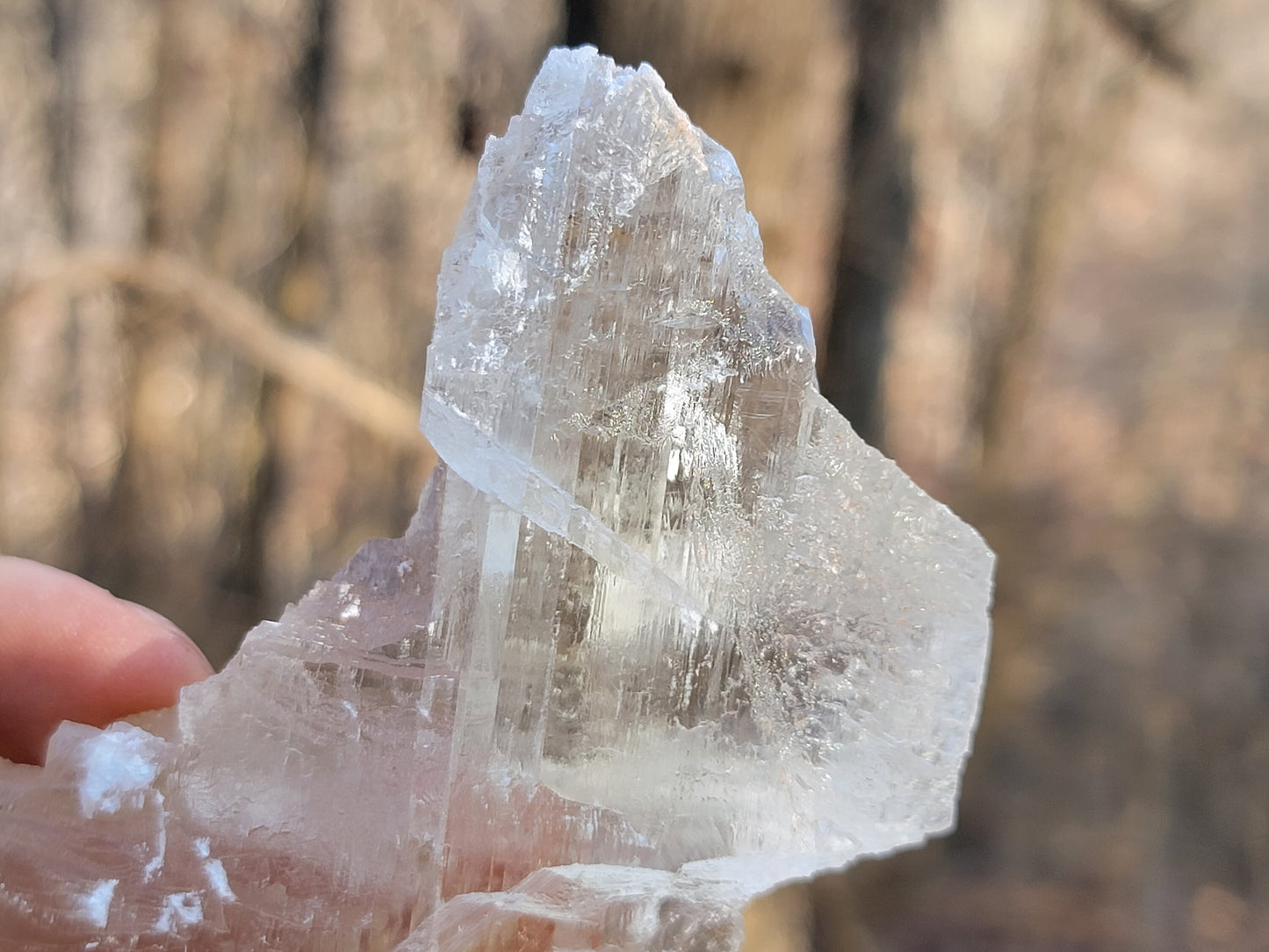 Golden Phantom Selenite Crystal Cluster || Sacral Selenite || Utah Selenite Slices || Master Healer Crystal