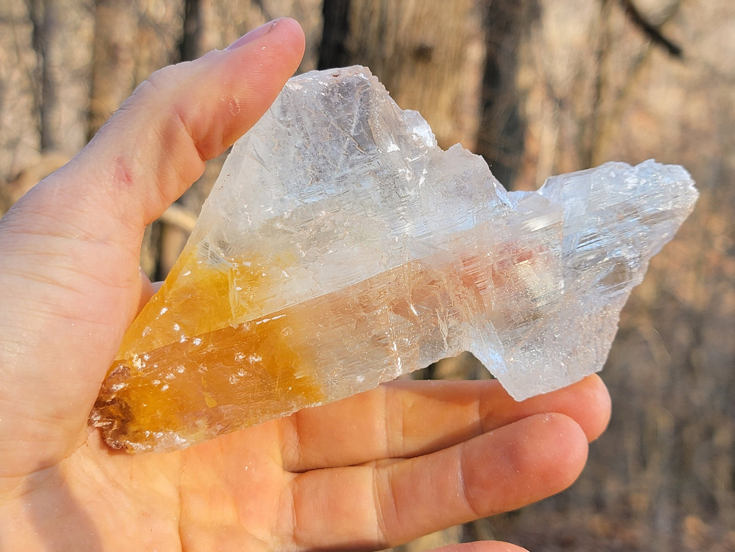 Golden Phantom Selenite Crystal Cluster || Sacral Selenite || Utah Selenite Slices || Master Healer Crystal