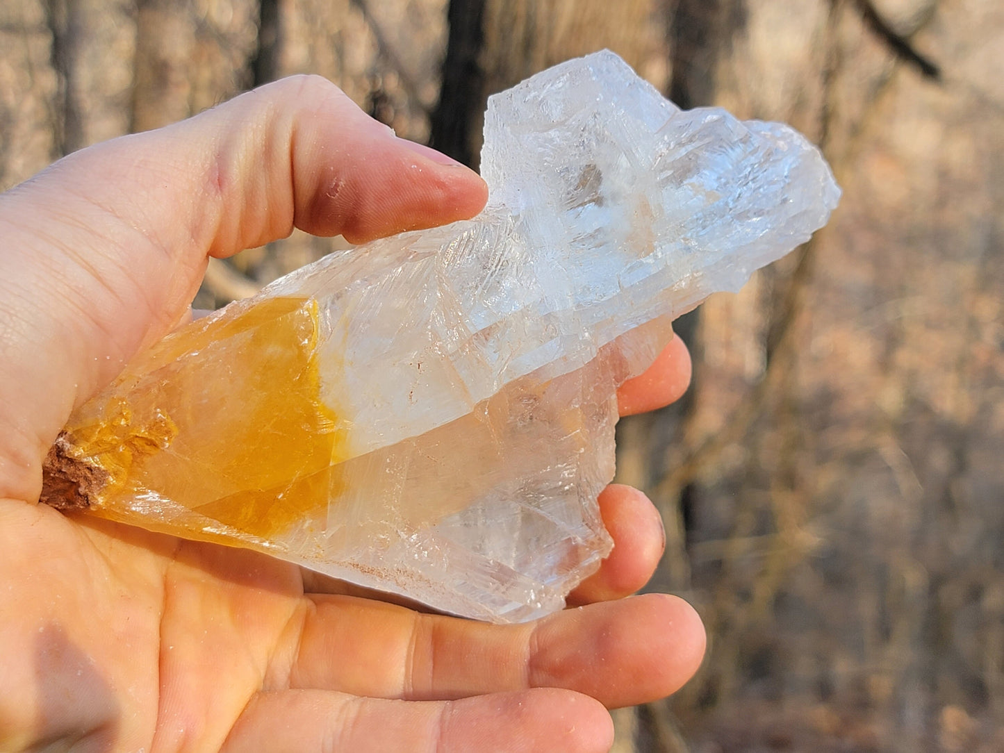 Golden Phantom Selenite Crystal Cluster || Sacral Selenite || Utah Selenite Slices || Master Healer Crystal