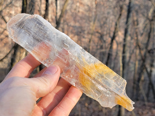 Golden Phantom Selenite Crystal Cluster || Sacral Selenite || Utah Selenite Slices || Master Healer Crystal