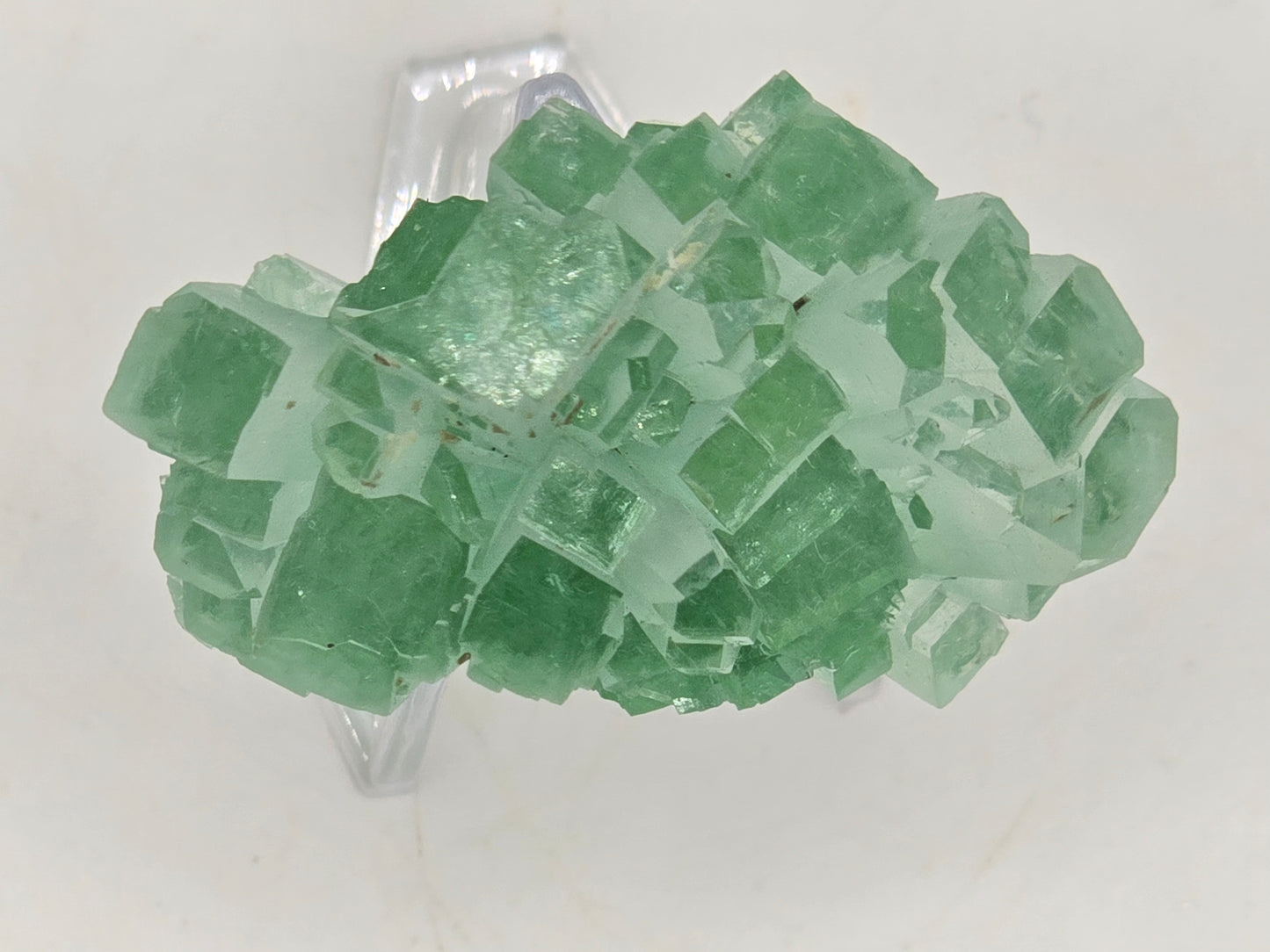 Disco Ball Green Apophyllite || #105