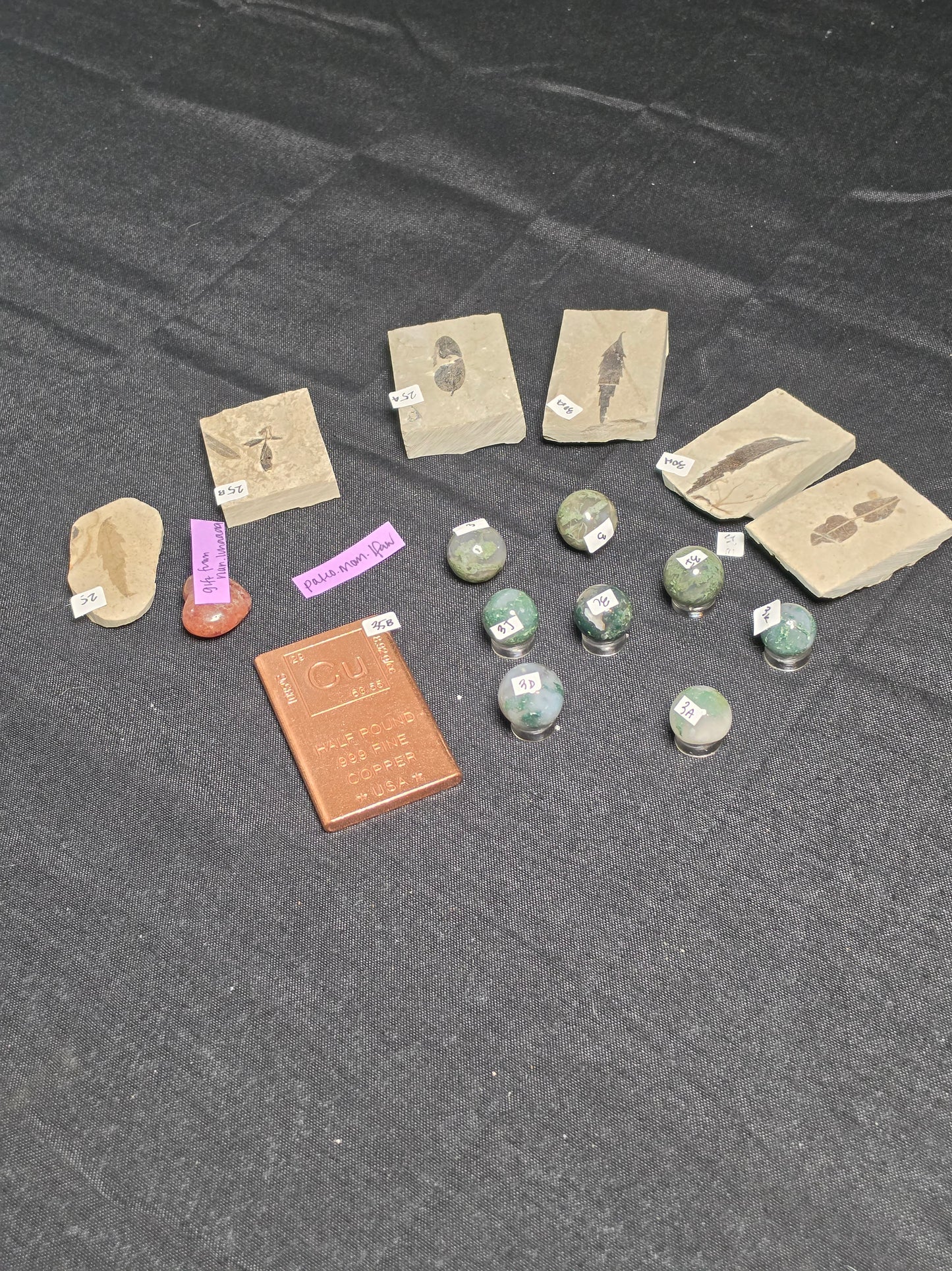Paleo_mom_lfaw 8/22 live sale