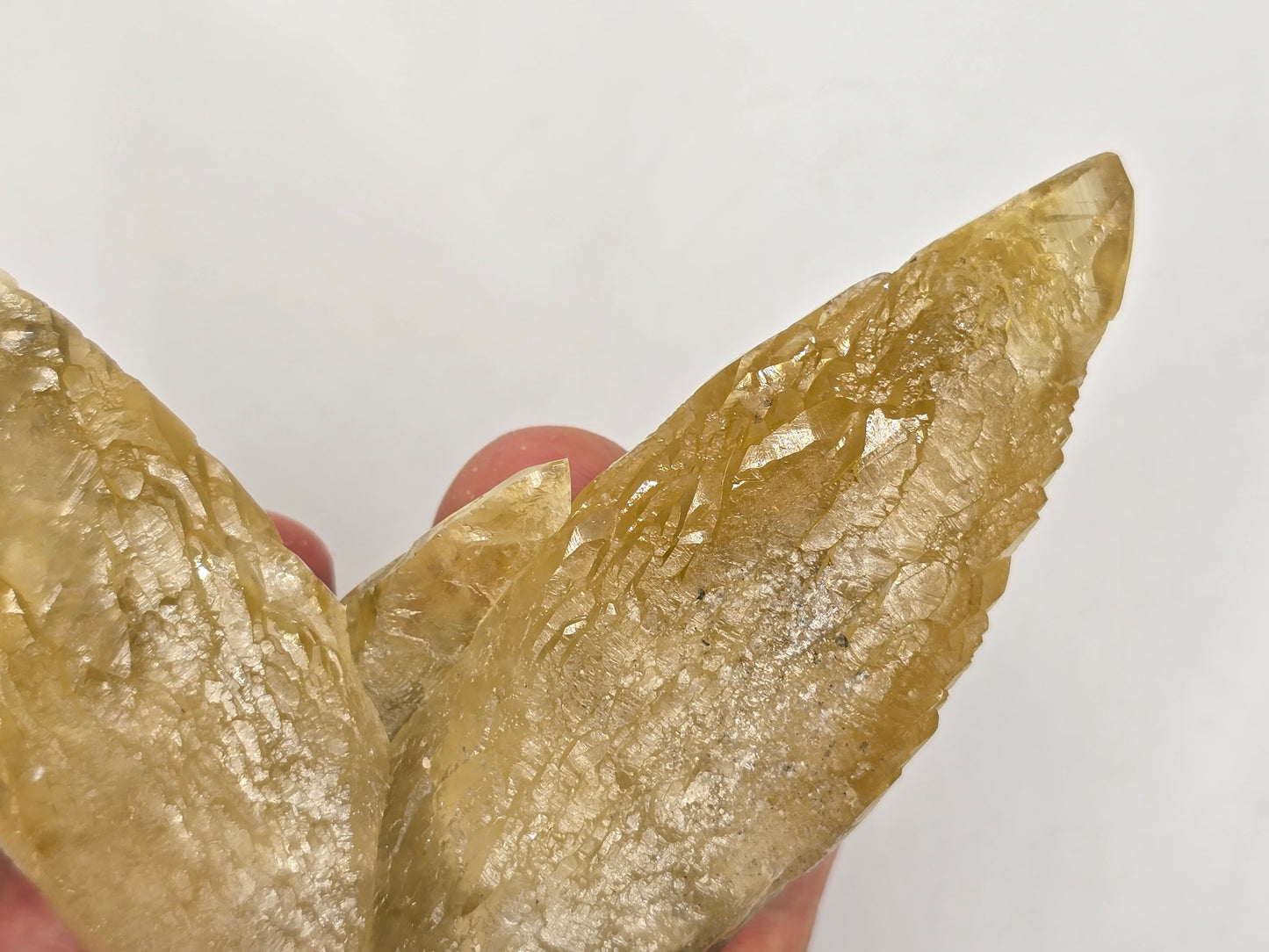 Sweetwater Calcite Cluster || #90