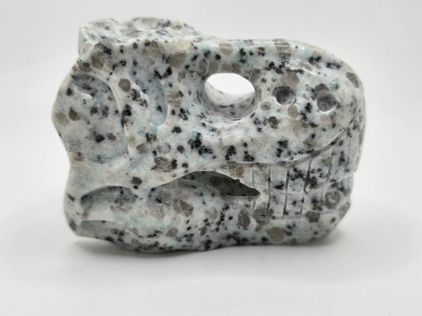 Kiwi Jasper T-Rex Skull || Dinosaur Skull || T-Rex Carving || #83