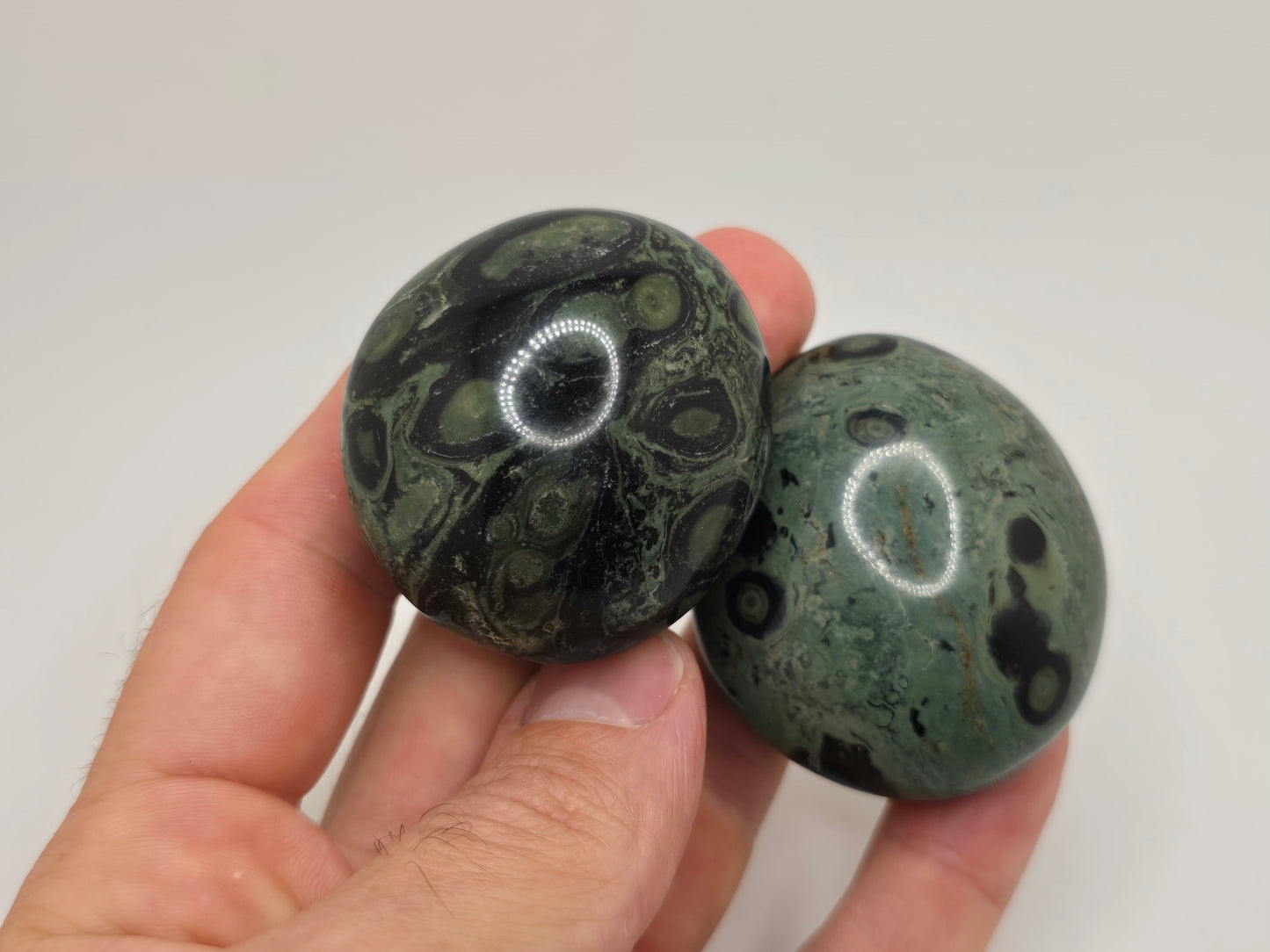 Kambaba Jasper Palmstone