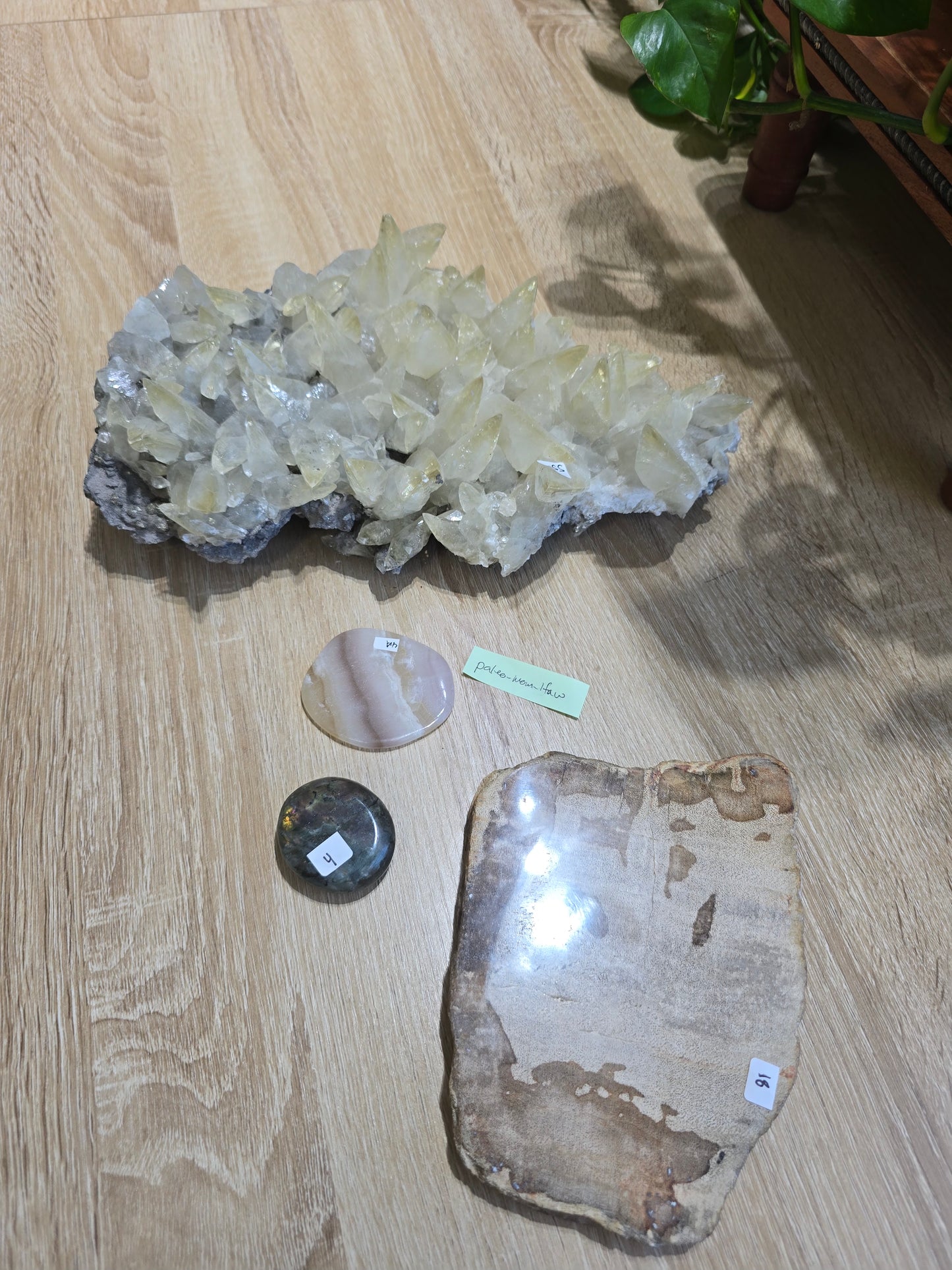 Paleo_mom_lfaw 8/14 live sale