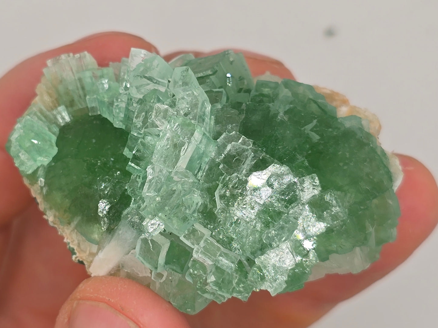Disco Ball Green Apophyllite Cluster || #107