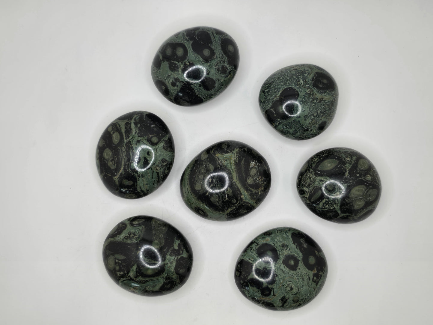 Kambaba Jasper Palmstone