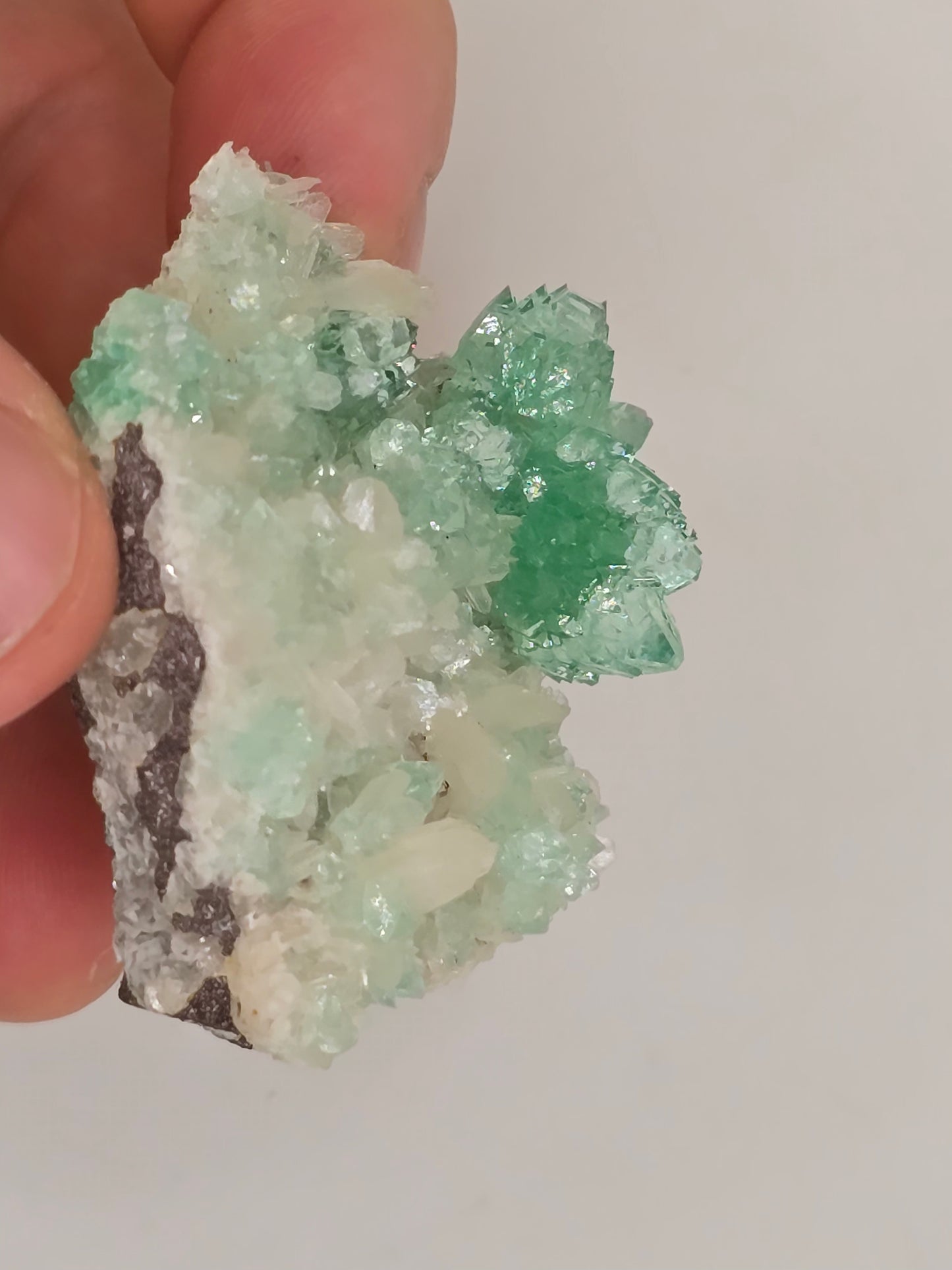 Green Apophyllite Cluster || #108
