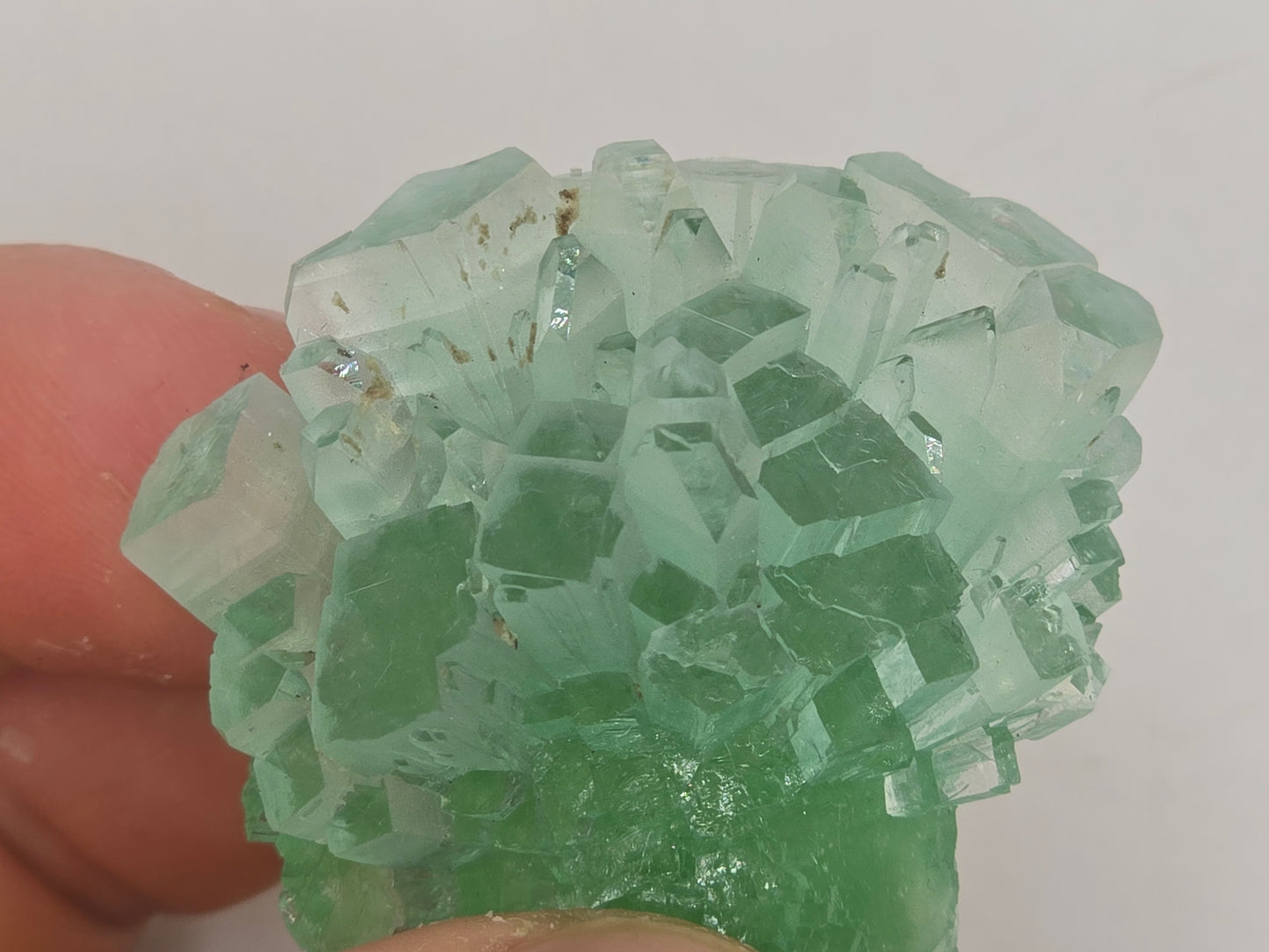 Disco Ball Green Apophyllite || #105