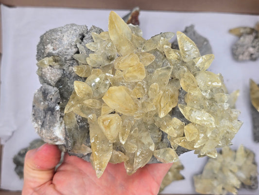 Sweetwater Calcite Flat #6