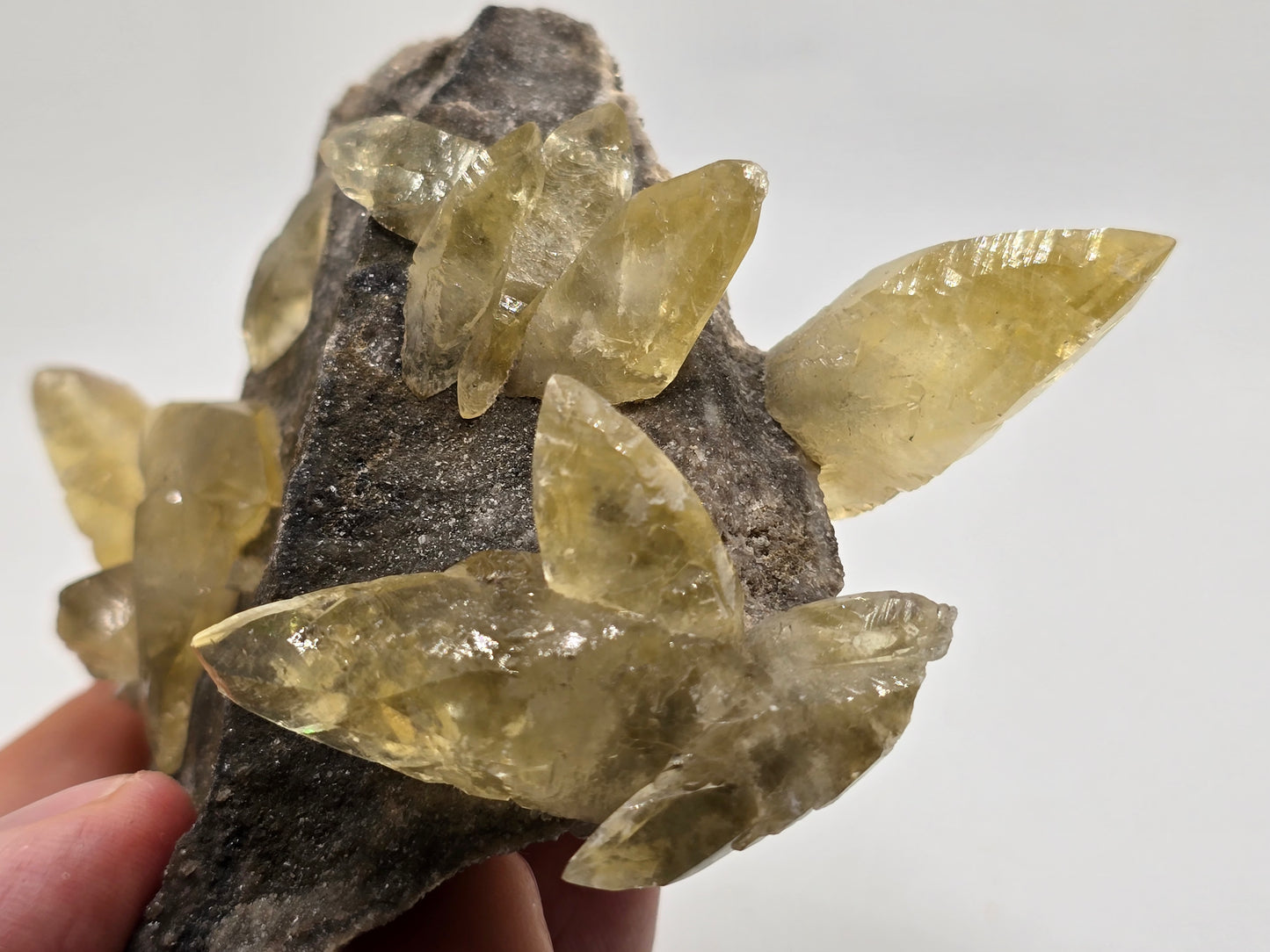 Sweetwater Calcite Cluster with Maracsite || #102