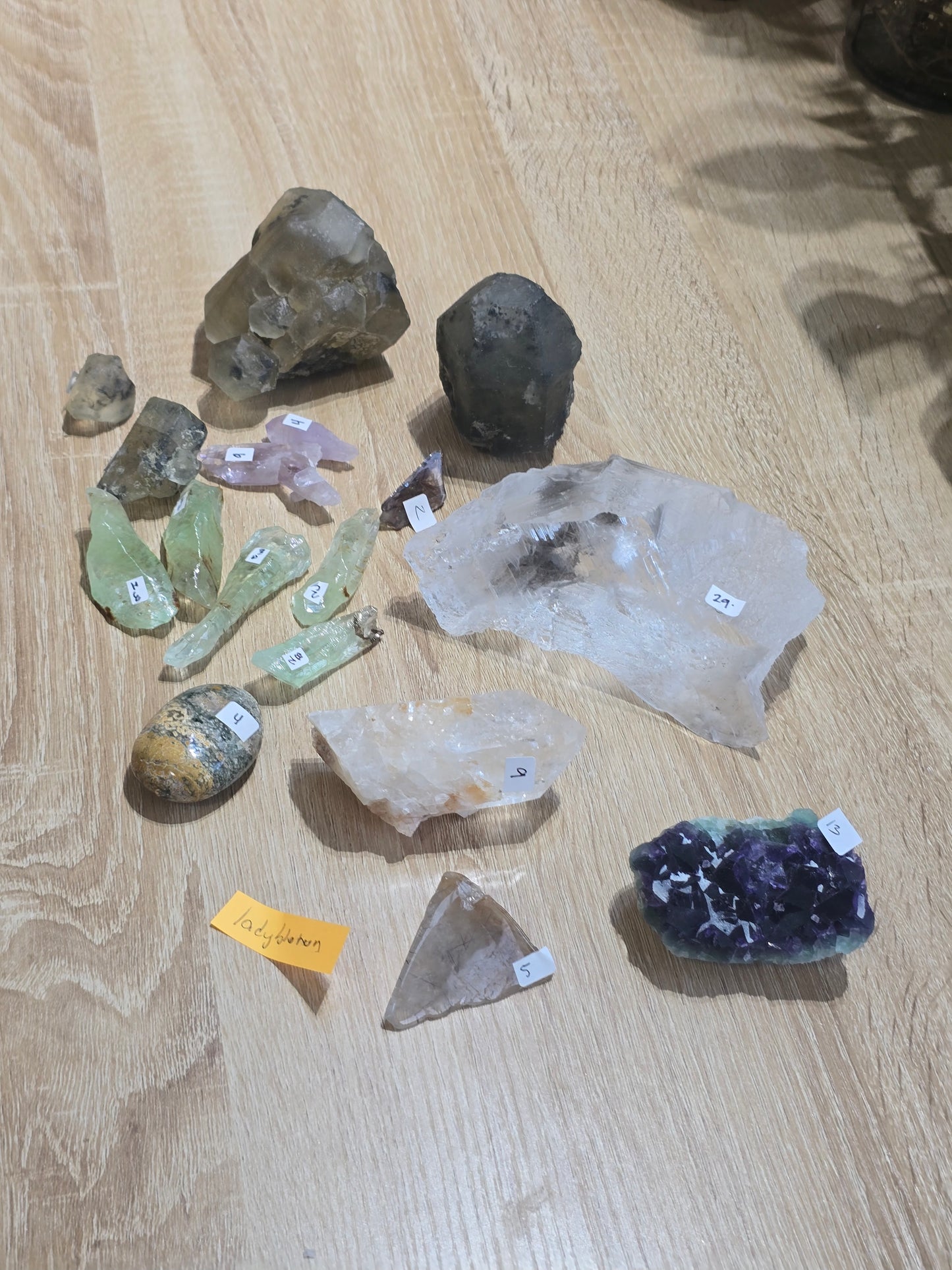 Ladybluerun 6/28 live sale