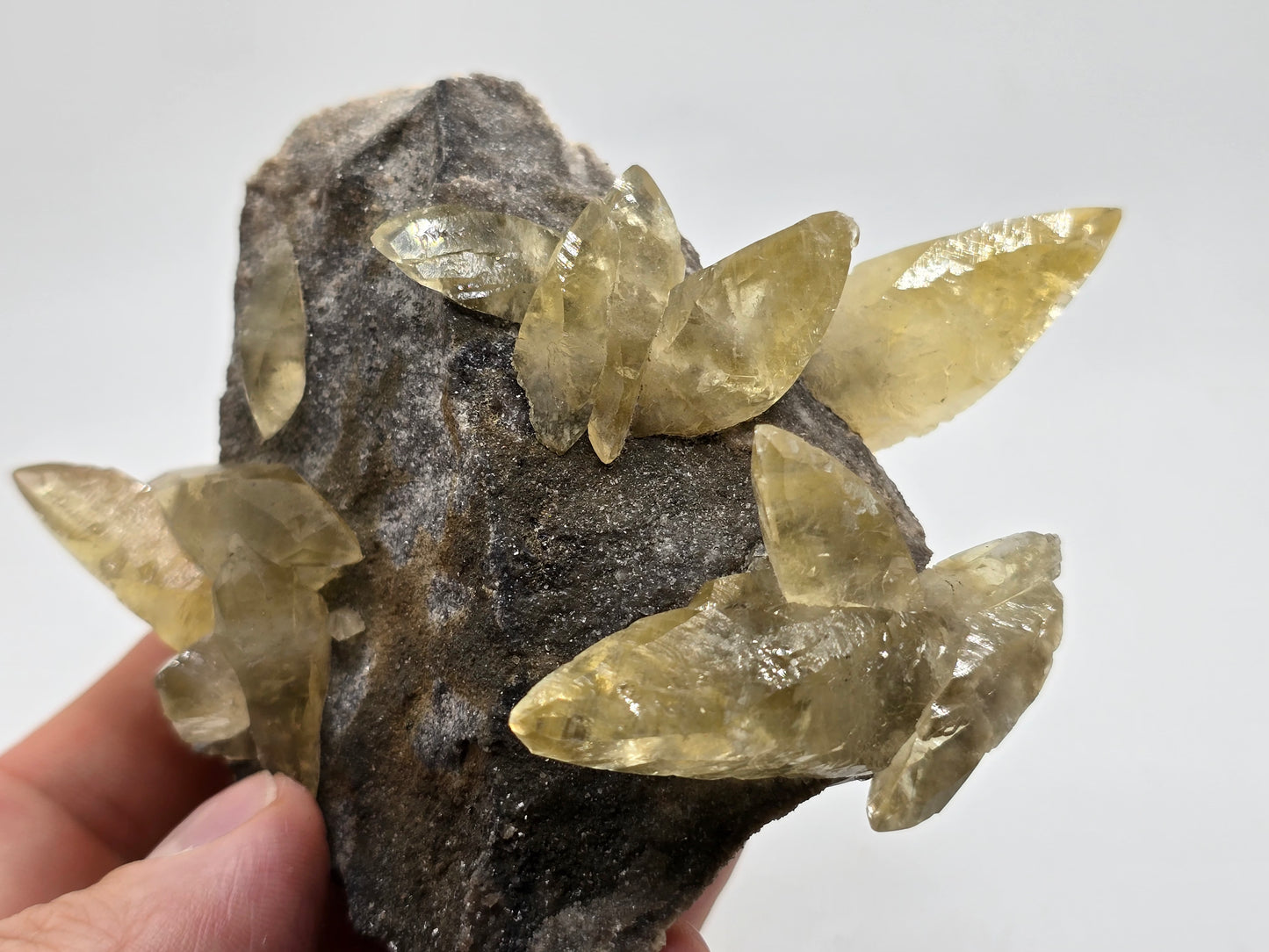 Sweetwater Calcite Cluster with Maracsite || #102