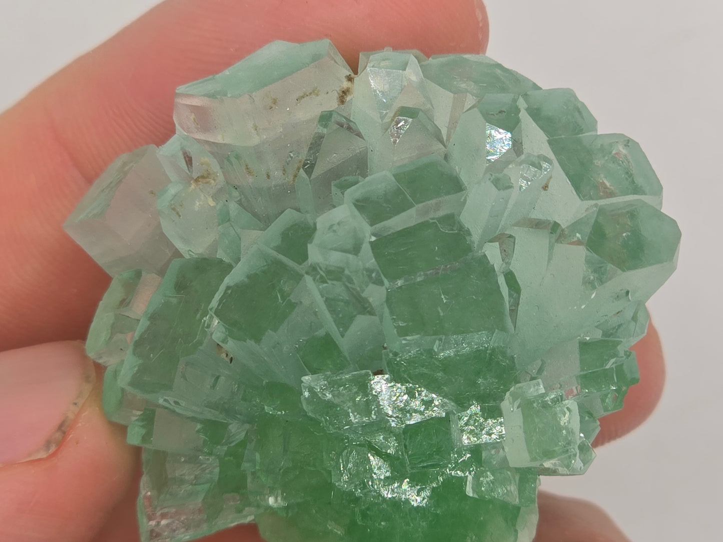 Disco Ball Green Apophyllite || #105