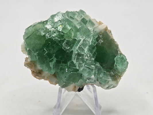 Disco Ball Green Apophyllite Cluster || #107