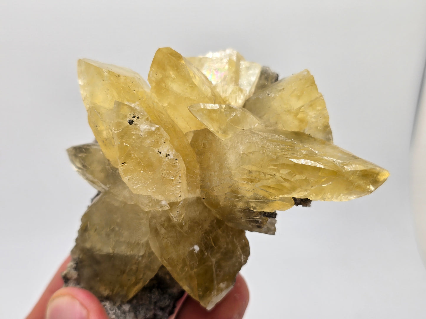 Sweetwater Calcite Cluster || #87