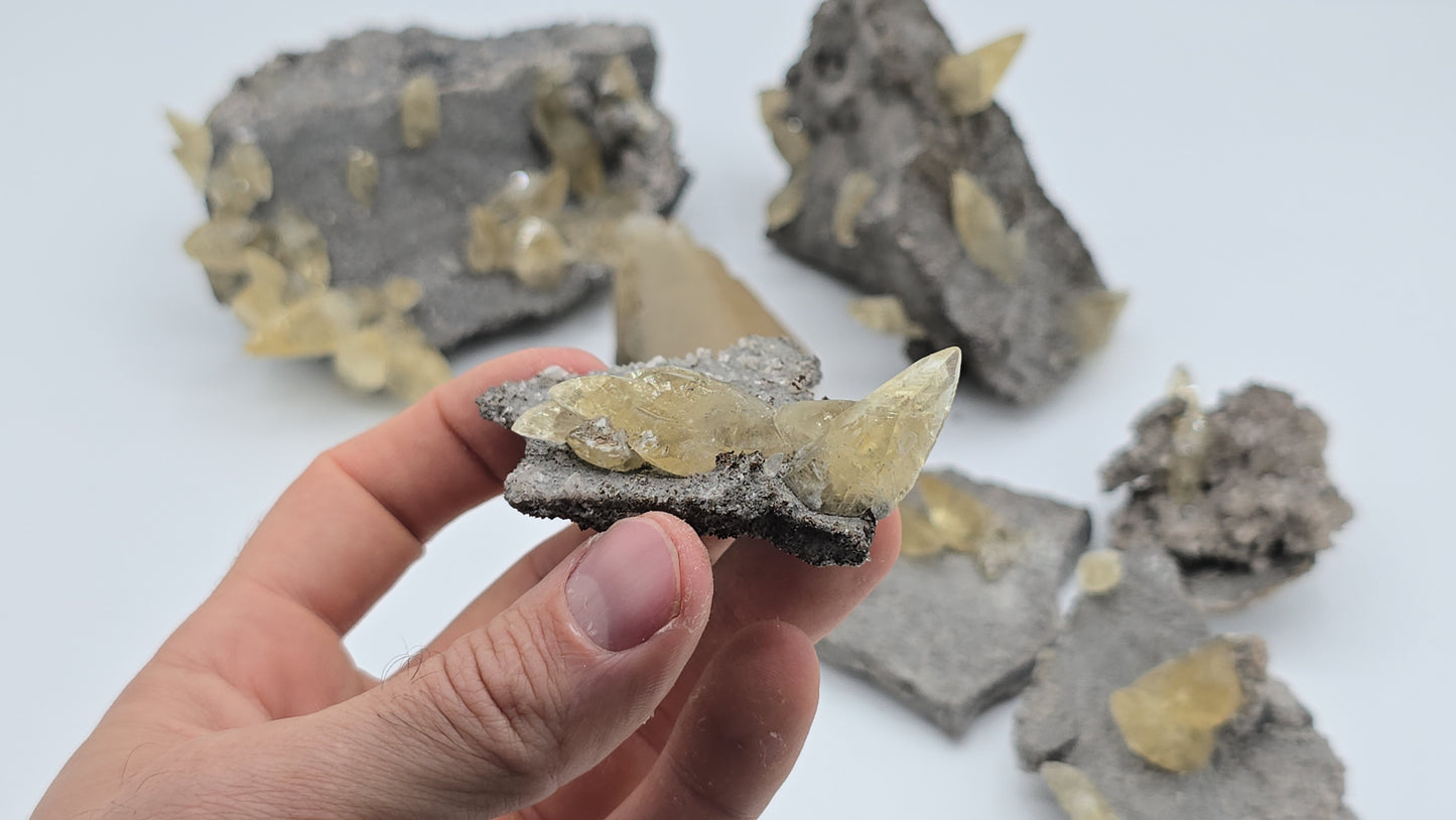 Sweetwater Calcite Flat #8