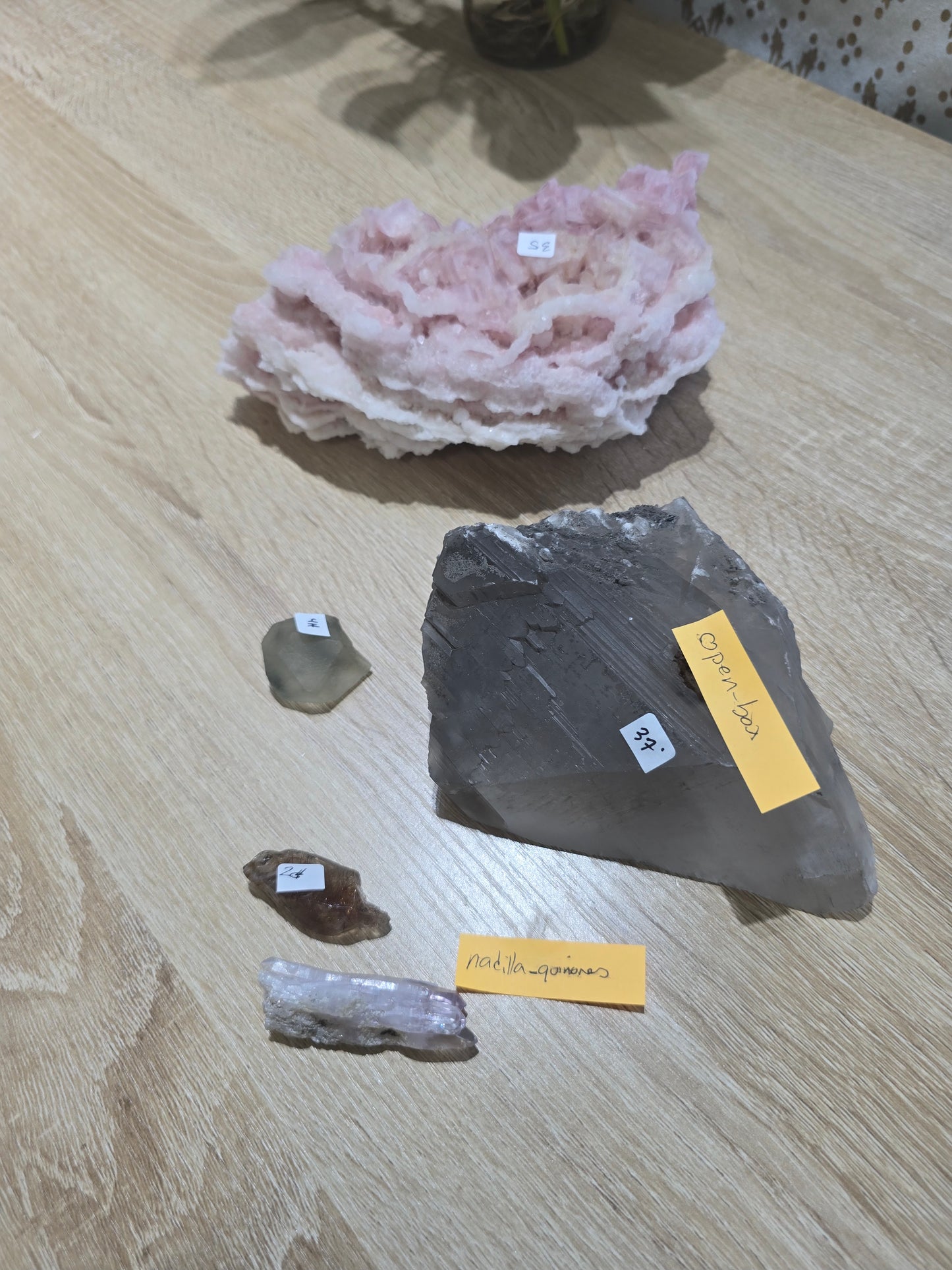 Nadila_quinores 6/28 live sale