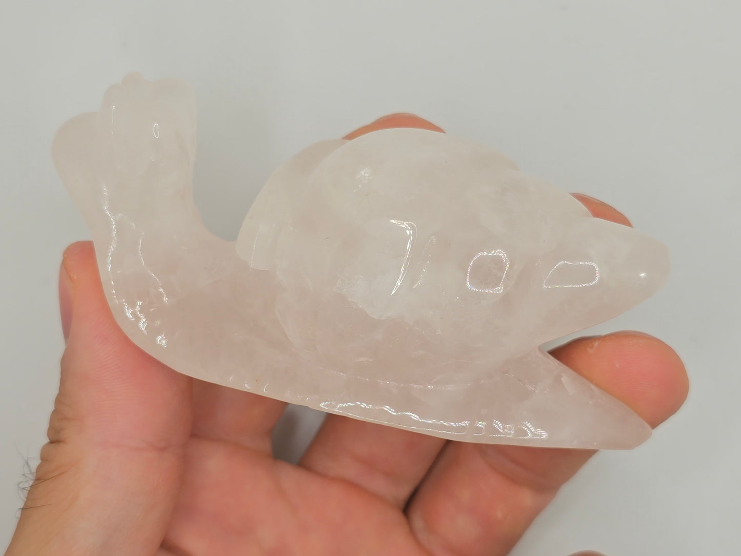 Rose Quartz Snail || Snail Carving || #85