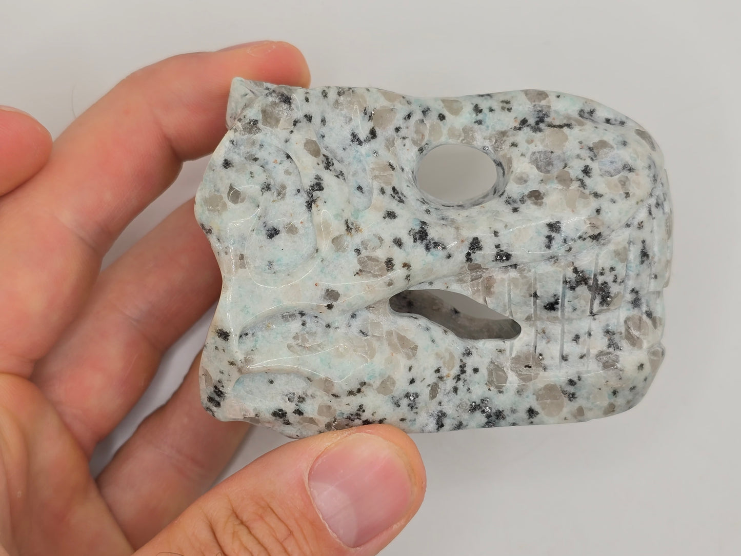 Kiwi Jasper T-Rex Skull || Dinosaur Skull || T-Rex Carving || #83