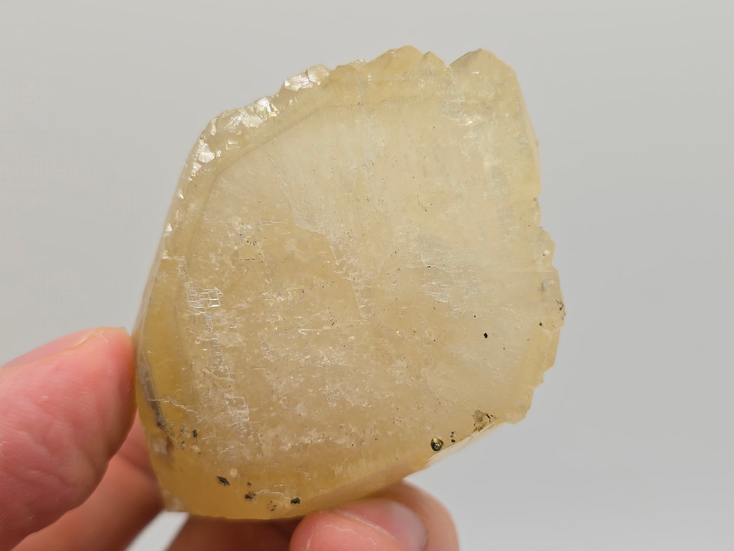 Sweetwater Calcite Point with Chalcopyrite Phantom || #95