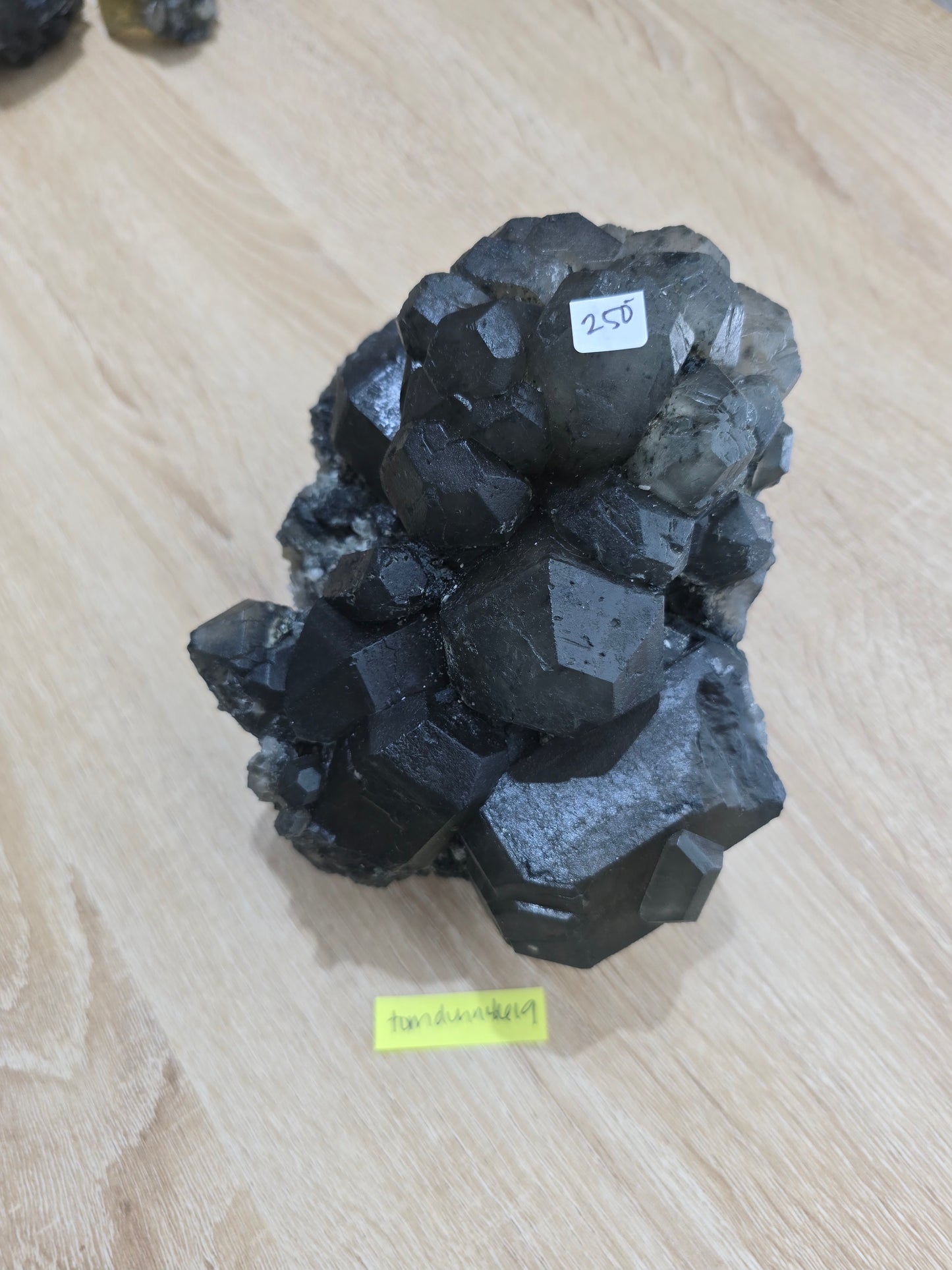 Tomdunn4619 10/29 live sale