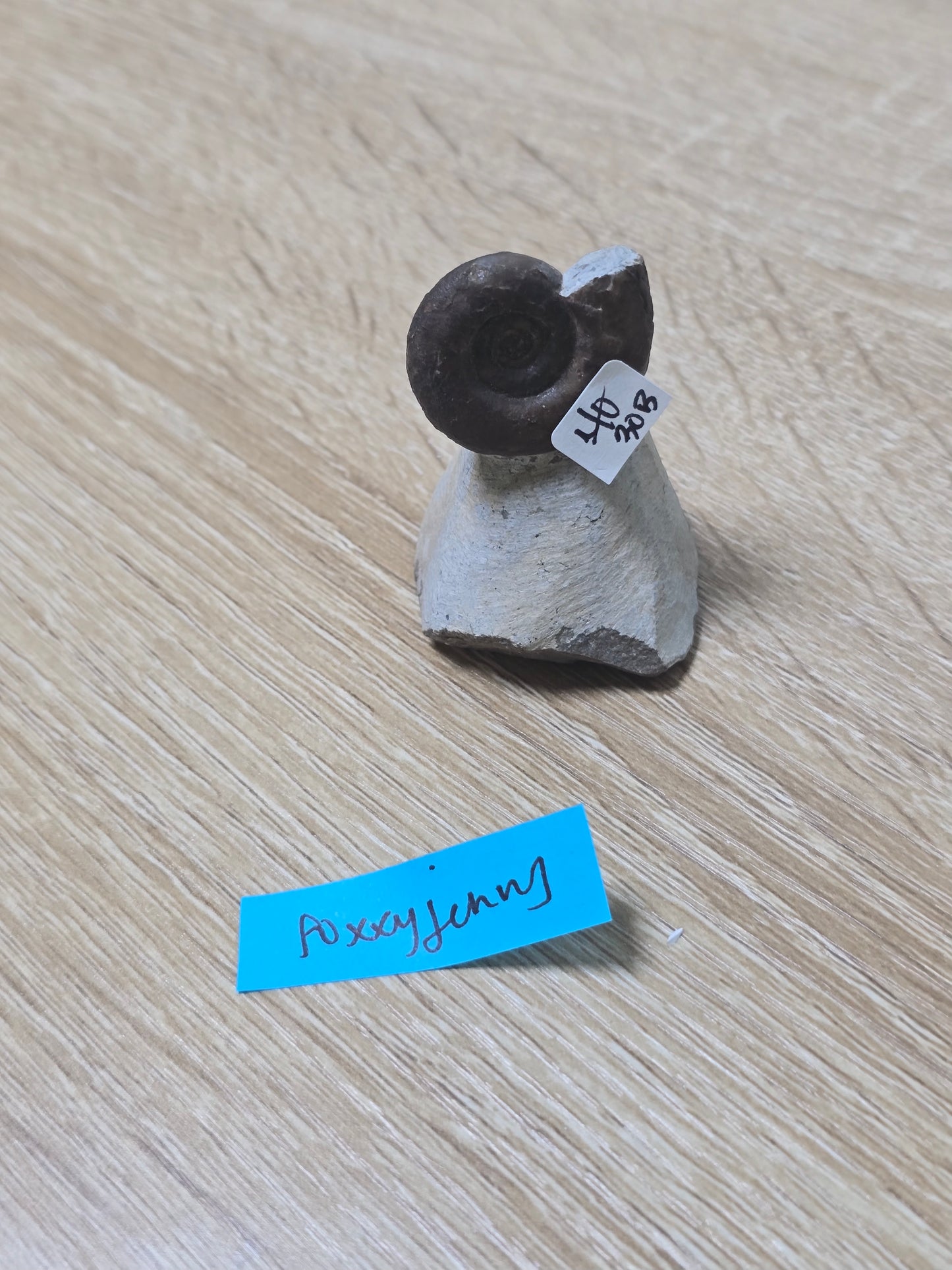 Foxxyjenny16 11/29-11/30 live sale