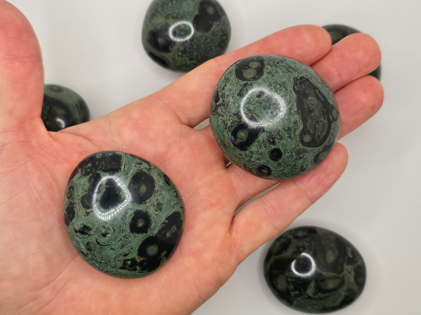 Kambaba Jasper Palmstone