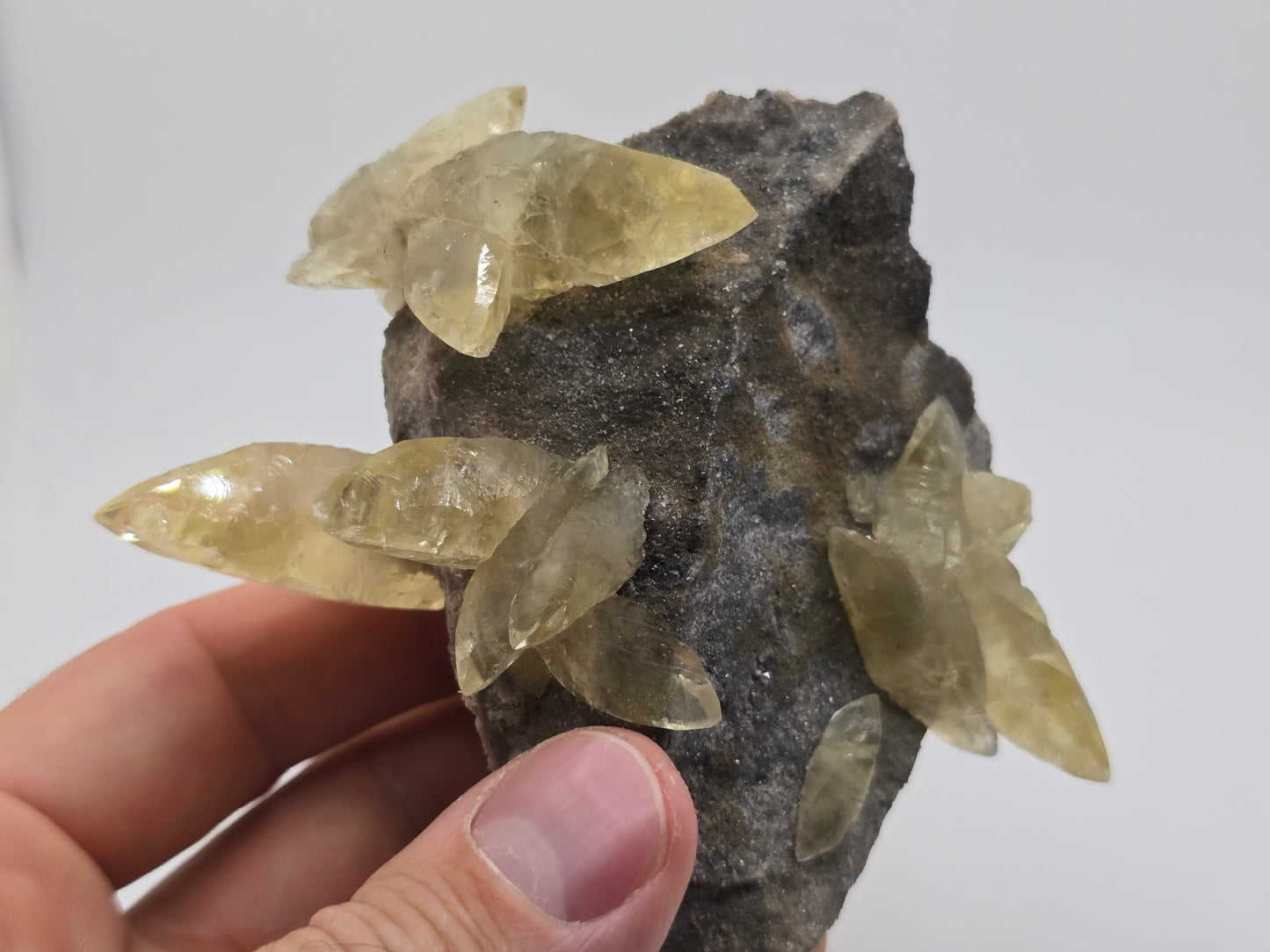 Sweetwater Calcite Cluster with Maracsite || #102
