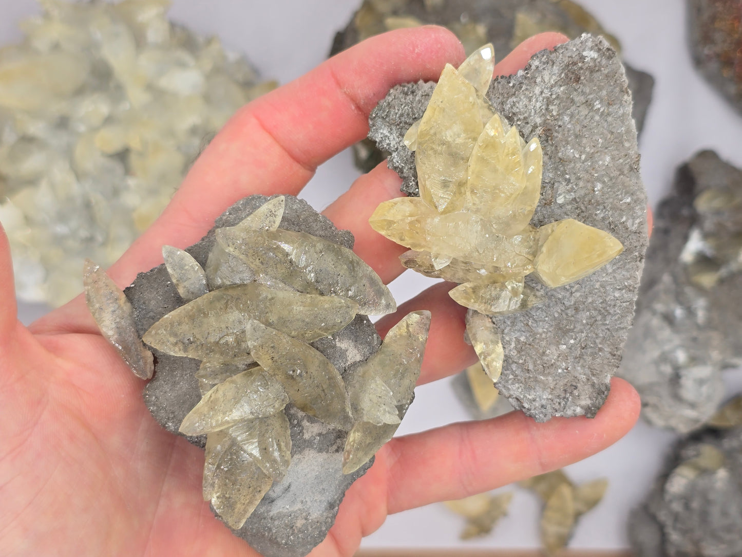 Sweetwater Calcite Flat #3