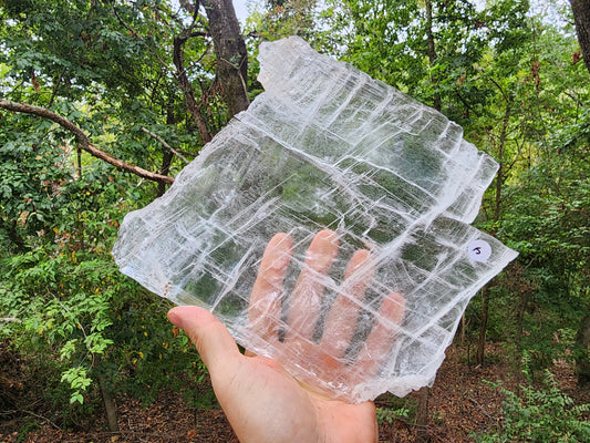 Large True Selenite Crystal Plate