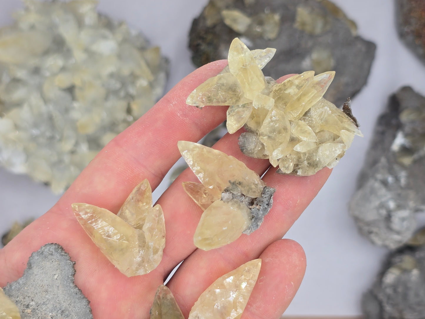 Sweetwater Calcite Flat #3