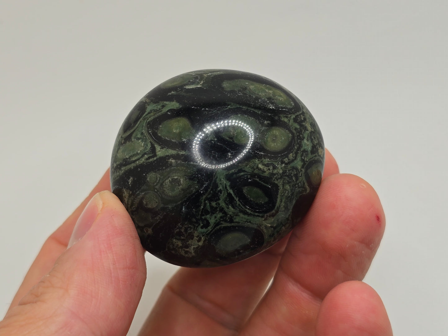 Kambaba Jasper Palmstone