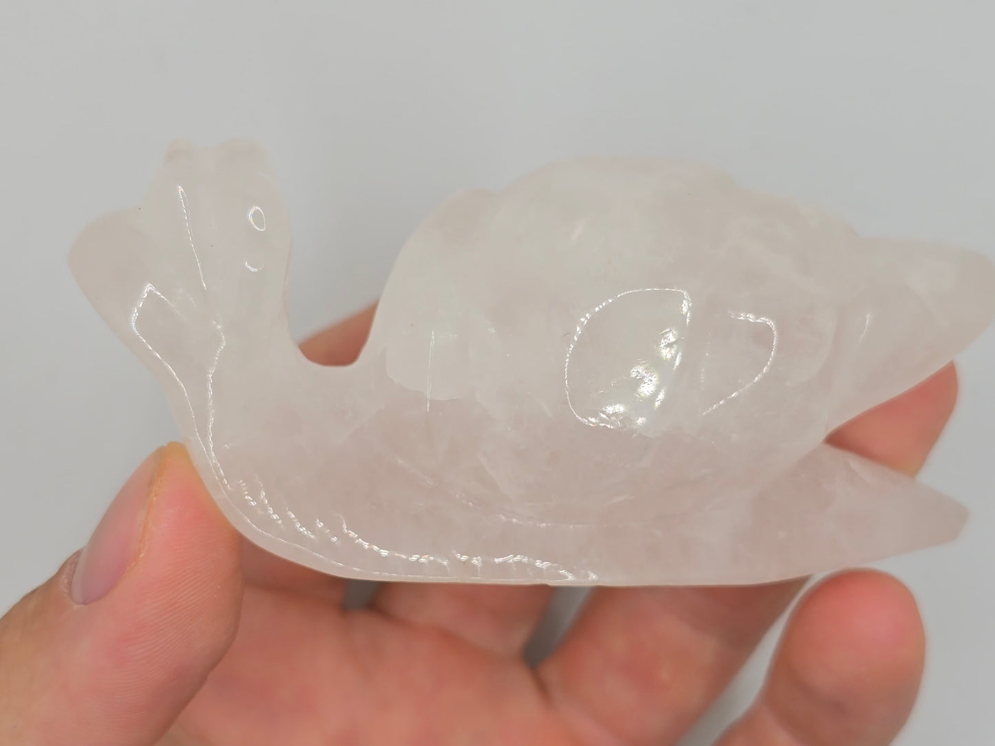 Rose Quartz Snail || Snail Carving || #85