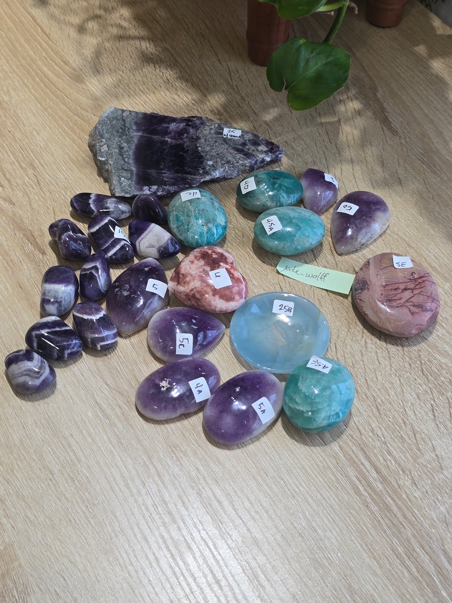 Jade_wolff 8/12 live sale