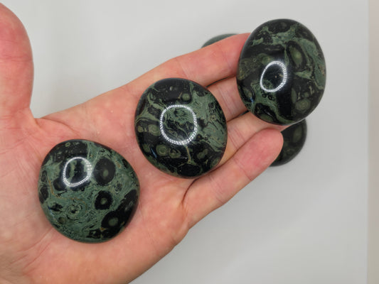 Kambaba Jasper Palmstone