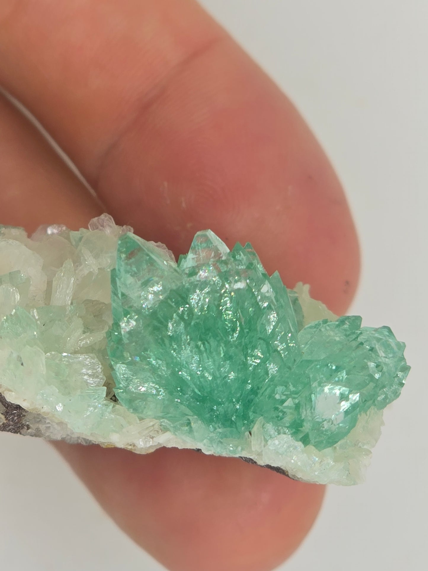 Green Apophyllite Cluster || #108