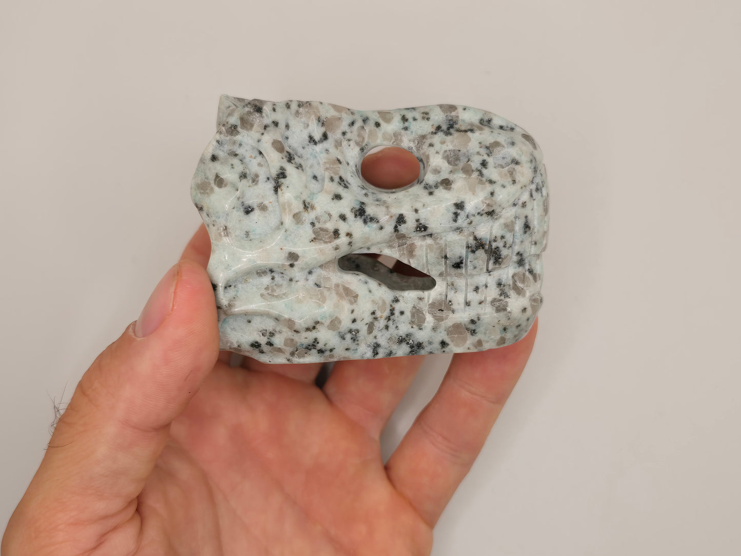 Kiwi Jasper T-Rex Skull || Dinosaur Skull || T-Rex Carving || #83