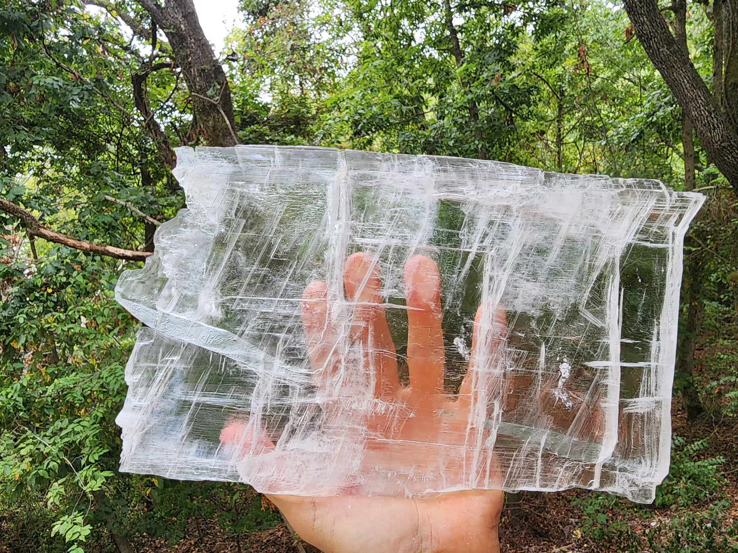 Large True Selenite Crystal Plate