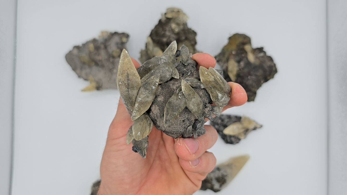 Sweetwater Calcite Flat #6