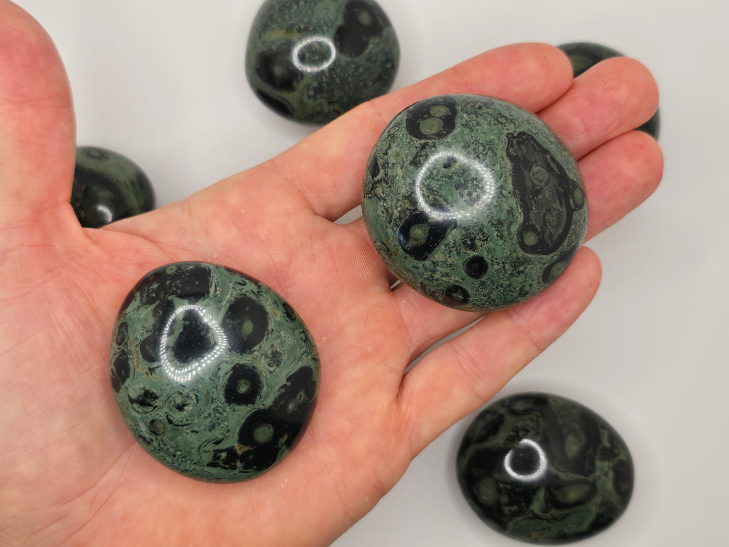 Kambaba Jasper Palmstone
