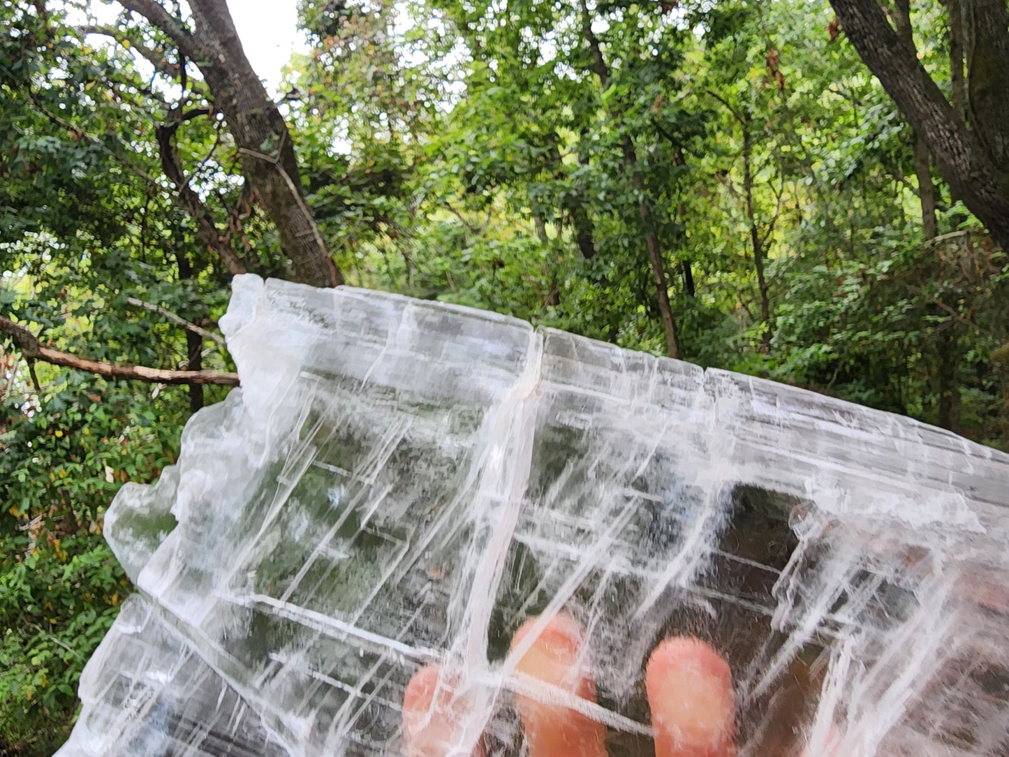 Large True Selenite Crystal Plate