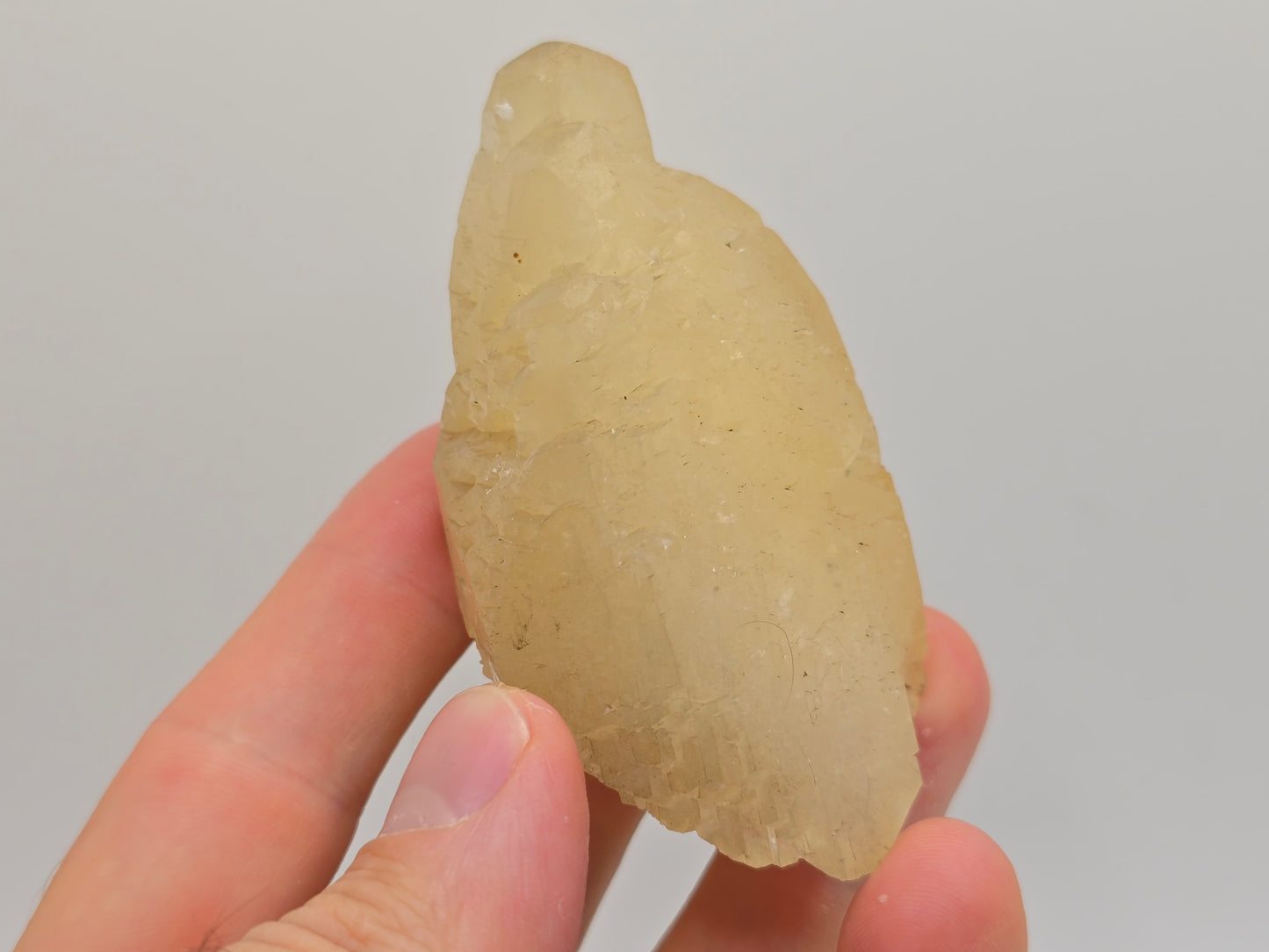 Sweetwater Calcite Point with Chalcopyrite Phantom || #95