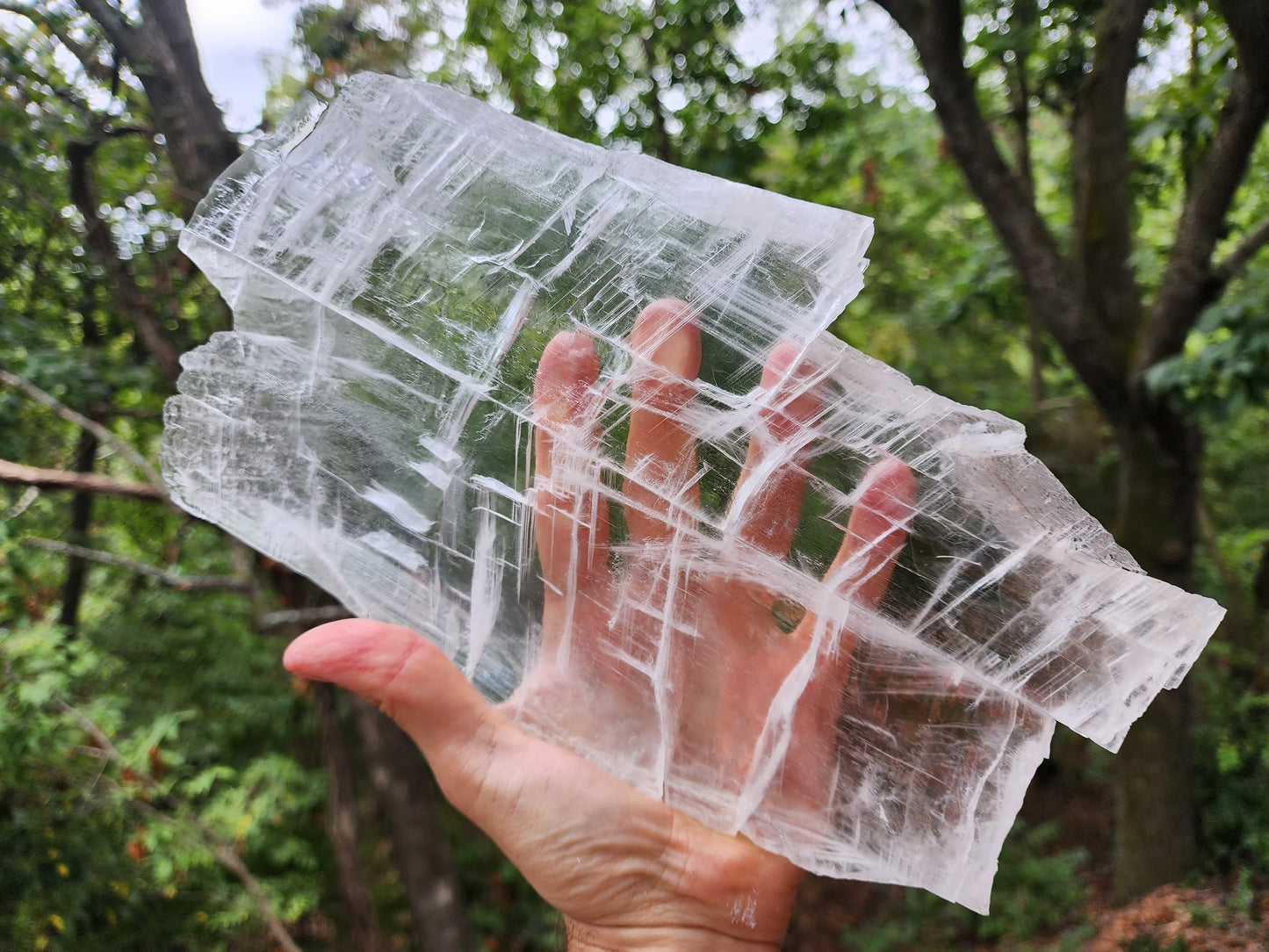 Large True Selenite Crystal Plate