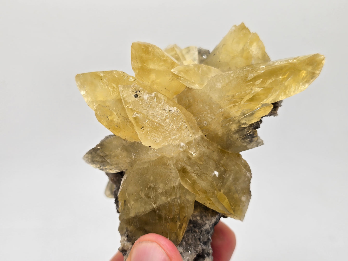 Sweetwater Calcite Cluster || #87