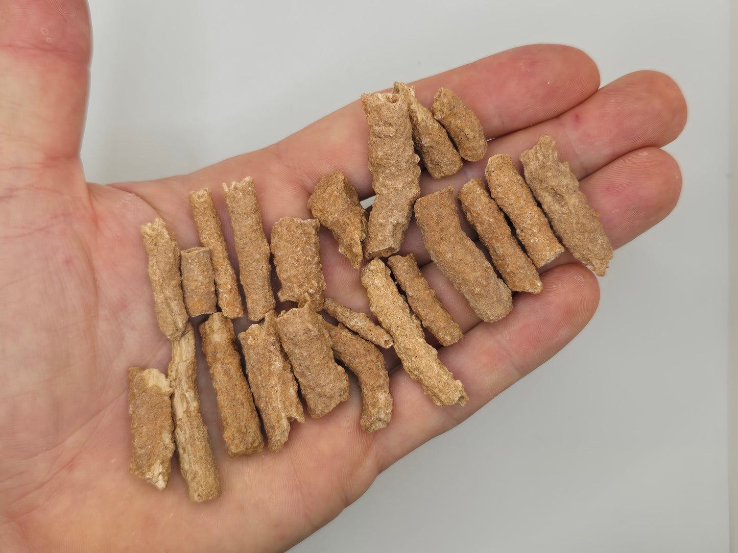 Fulgurite || Fulgurite Crystal || Fulgurite Stone || Lightning Stone || Choose Your Size